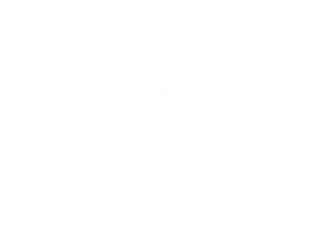 ny-times-white